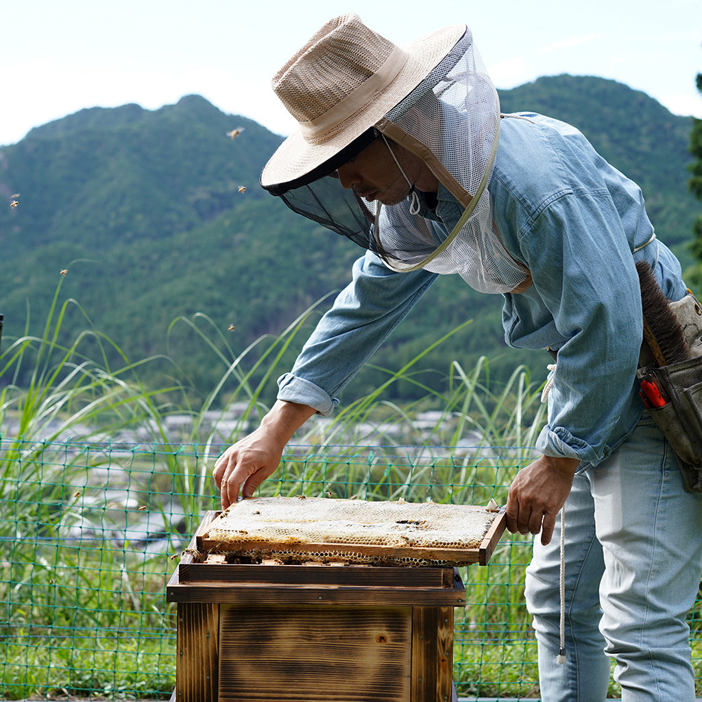 京都蜂蜜(京都府産) ビン 150g